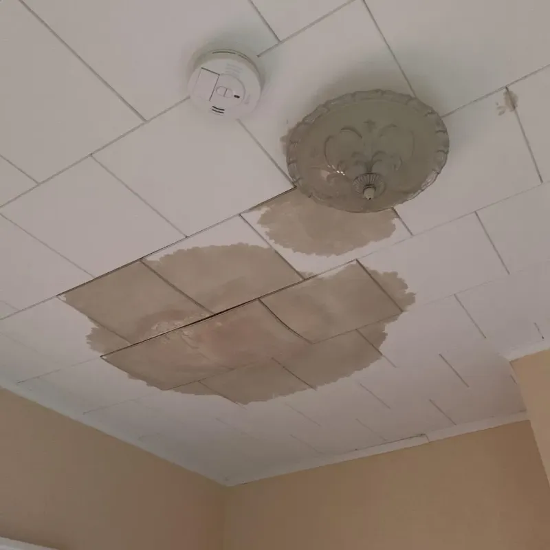 Ceiling Water Damage Repair in New Franklin, OH