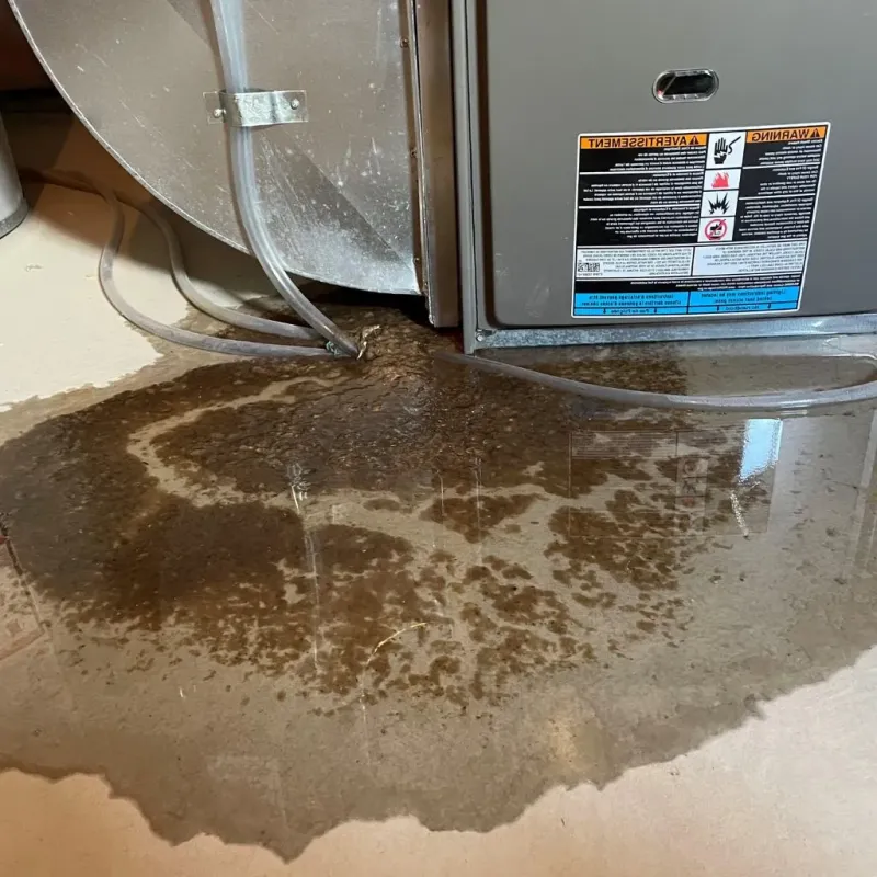 Pipe Burst and Leak Restoration in New Franklin, OH