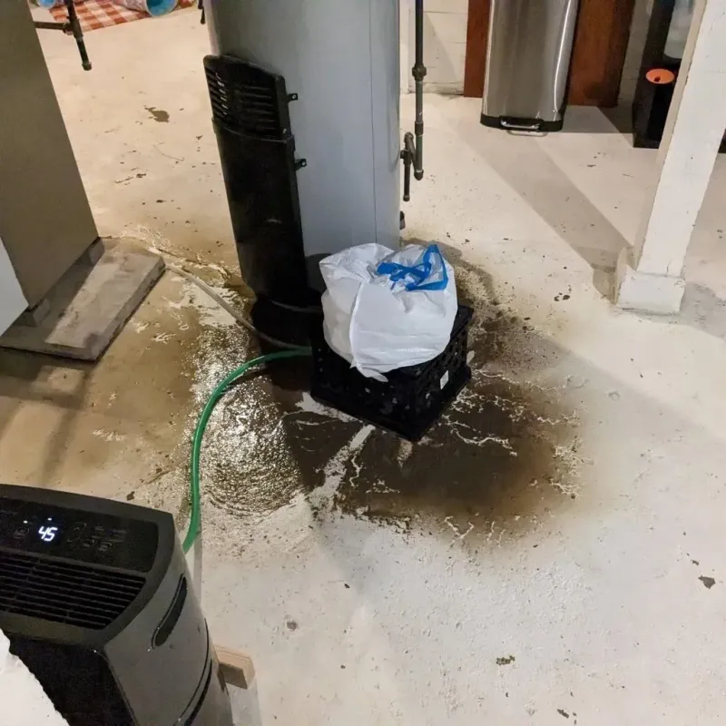 Sewage Backup Cleanup Service in New Franklin, OH